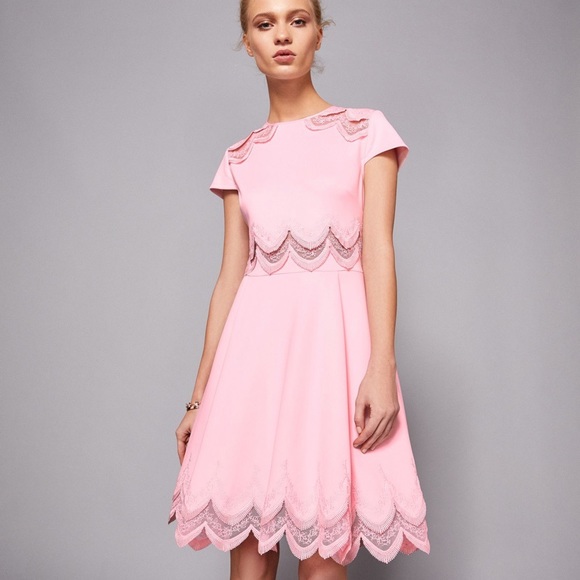 Ted Baker Pink Embroidered Skater Dress- WORN 1x! - Picture 2 of 8